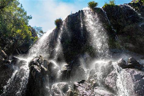 Chimanimani parks