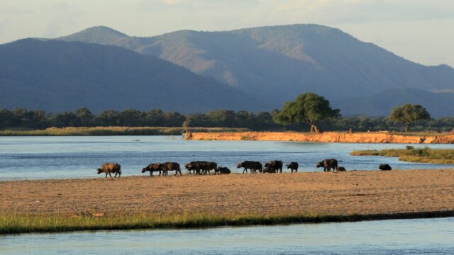 Mana pools